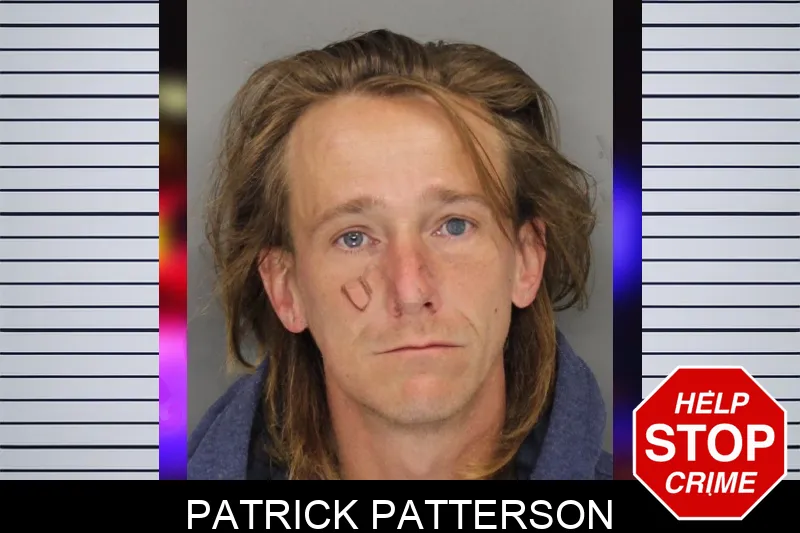 Patrick Patterson mugshot