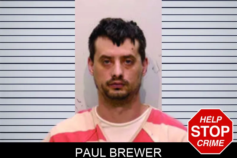 Paul Brewer
