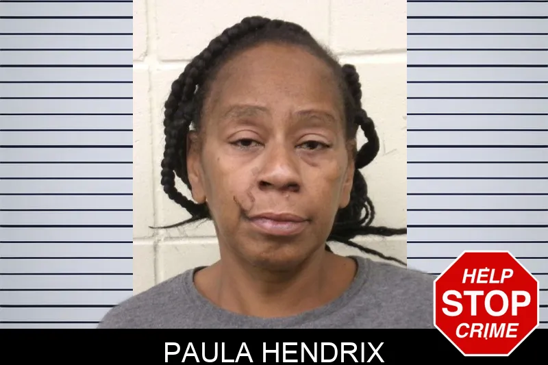 Paula Hendrix mugshot