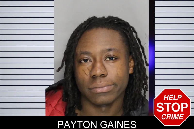 Payton Gaines mugshot – Cobb County , Georgia Payton Gaines mugshot