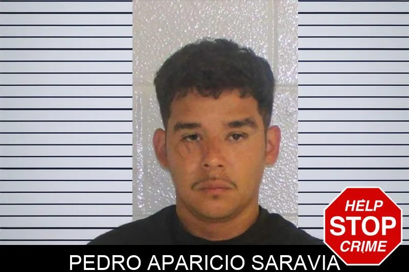 Pedro Aparicio Saravia mugshot – Carroll County , Georgia Pedro Aparicio Saravia mugshot