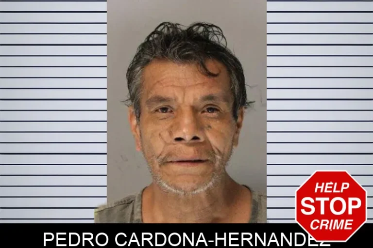 Pedro Cardona-Hernandez