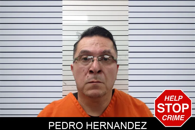 Pedro Hernandez Mugshots