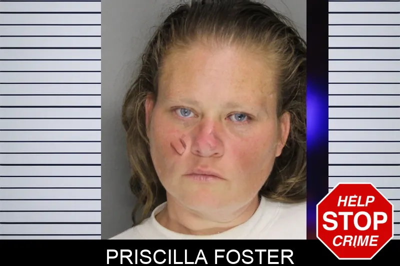 Priscilla Foster mugshot