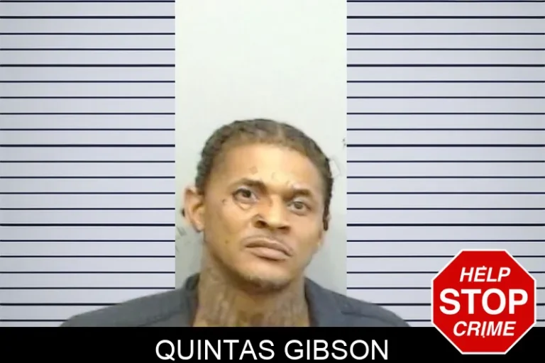 Quintas Gibson
