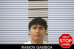 Ramon Gamboa mugshot