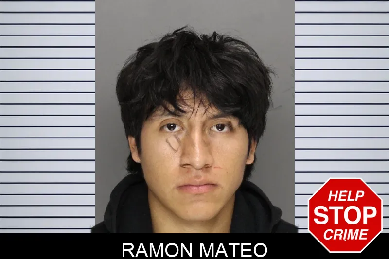 Ramon Mateo mugshot