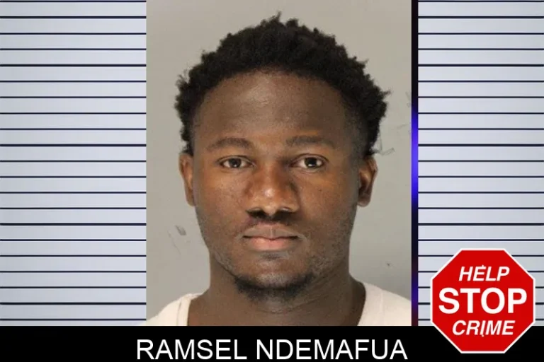 Ramsel Ndemafua