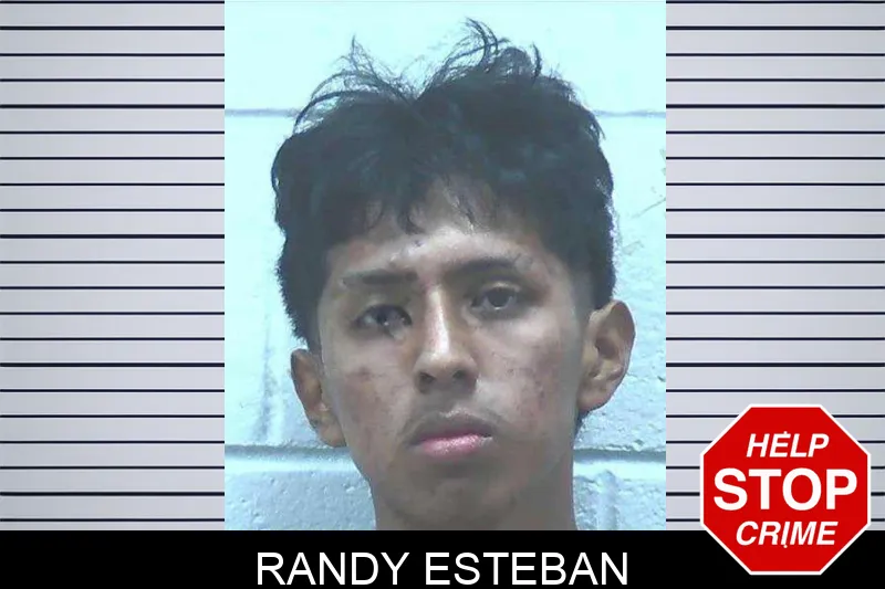 Randy Esteban Mugshots
