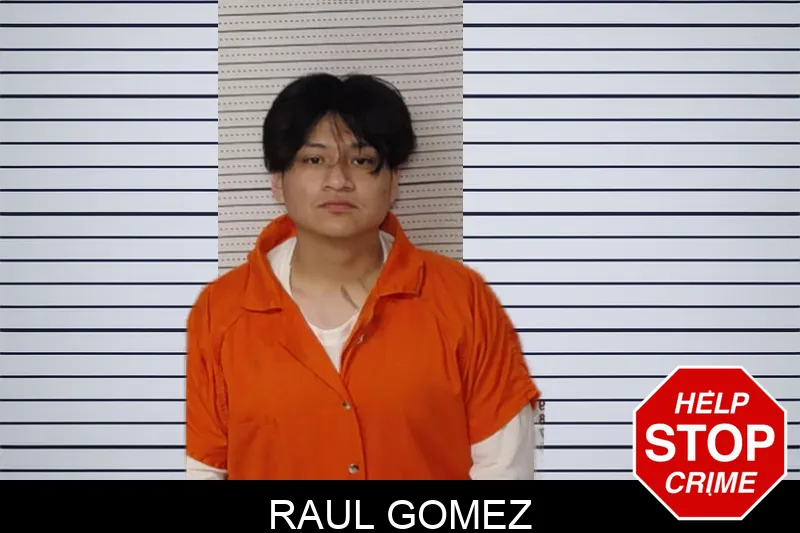Raul Gomez Mugshots