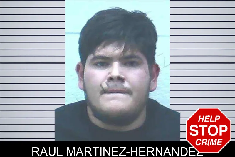 Raul Martinez-Hernandez