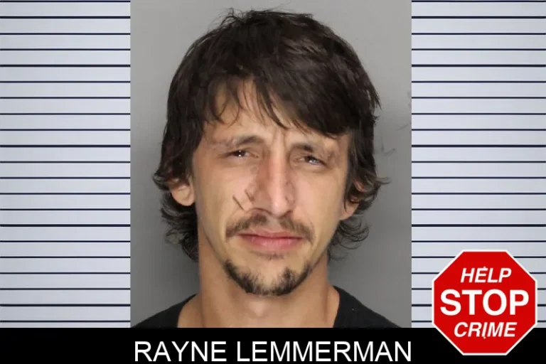 Rayne Lemmerman mugshot – Cobb County , Georgia Rayne Lemmerman