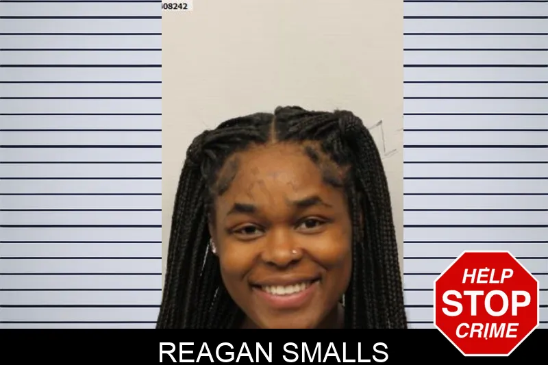 Reagan Smalls mugshot