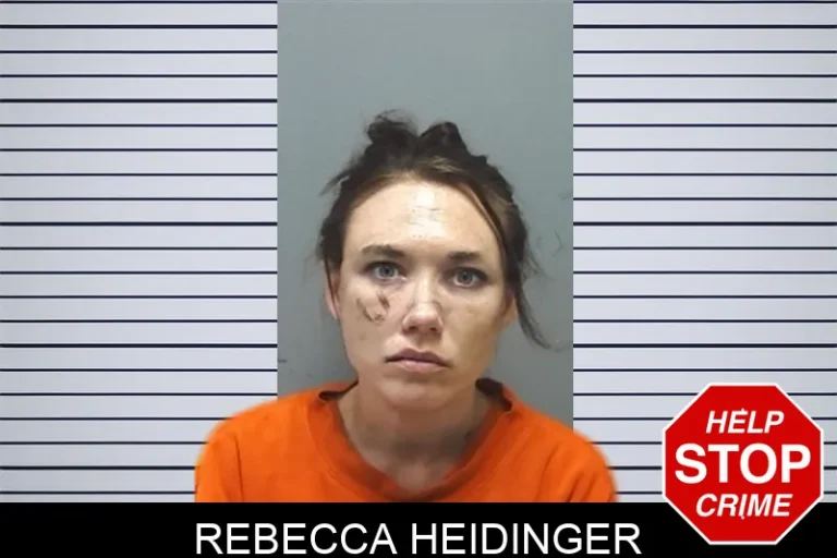 Rebecca Heidinger mugshot – Cherokee County , Georgia Rebecca Heidinger