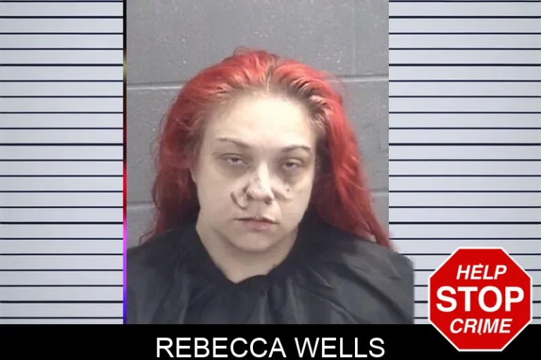 Rebecca Wells mugshot – Spalding County , Georgia Rebecca Wells