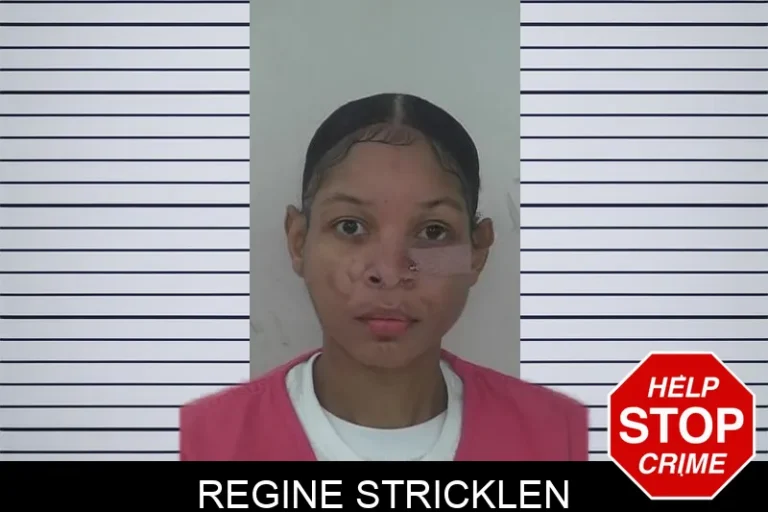 Regine Stricklen mugshot – Fayette County , Georgia Regine Stricklen