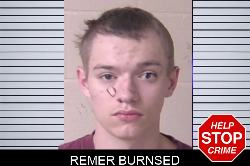Remer Burnsed