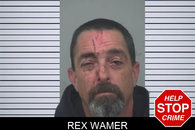 Rex Wamer mugshot – Gwinnett County , Georgia Rex Wamer mugshot
