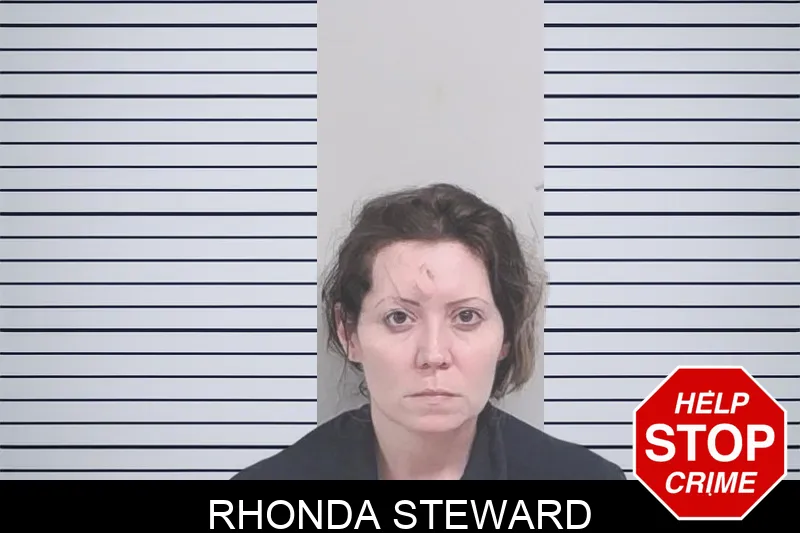Rhonda Steward mugshot – Lowndes County , Georgia Rhonda Steward mugshot