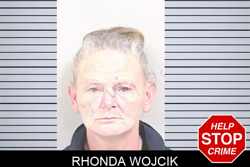 Rhonda Wojcik mugshot