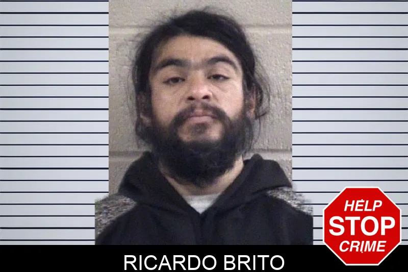 Ricardo Brito Mugshots