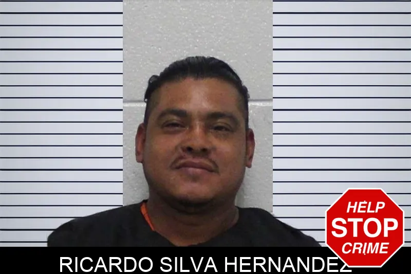 Ricardo Silva Hernandez