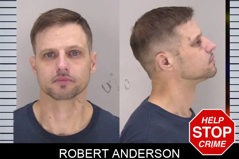 Robert Anderson mugshot