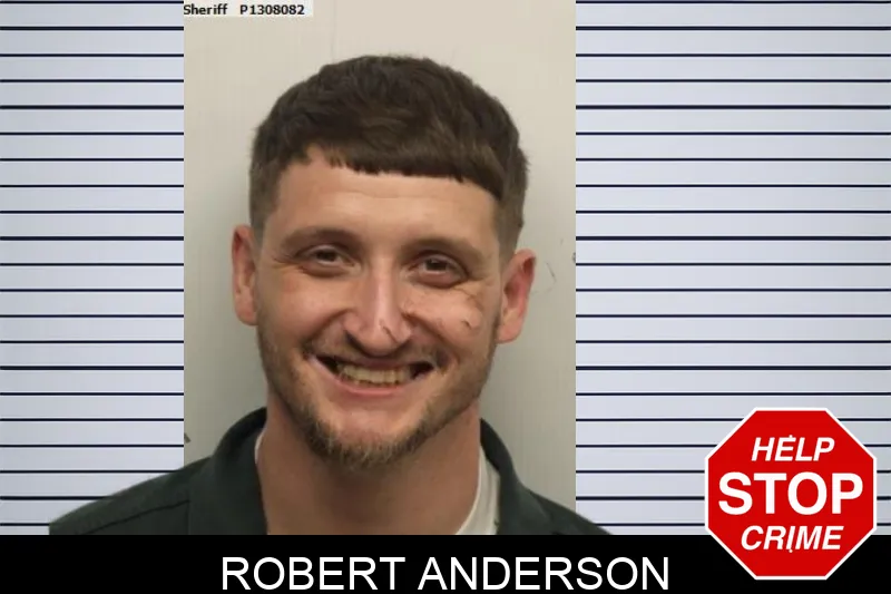 Robert Anderson mugshot