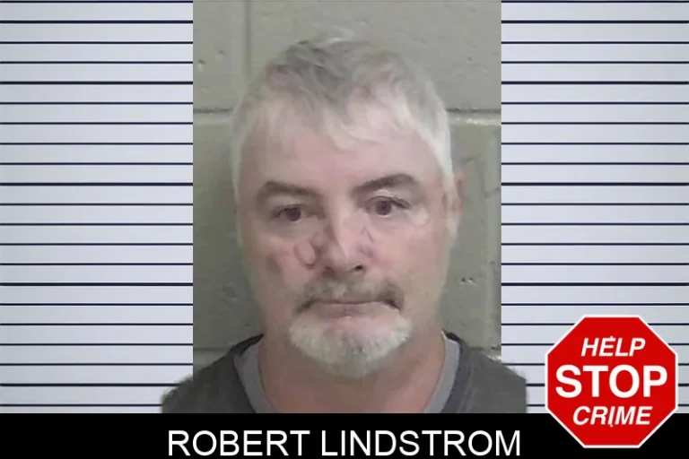 Robert Lindstrom mugshot – Wayne County , Georgia Robert Lindstrom