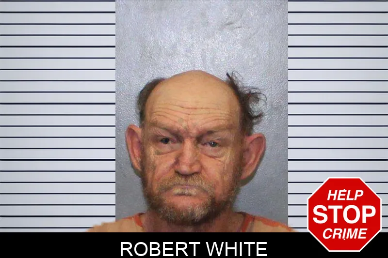 Robert White Mugshots
