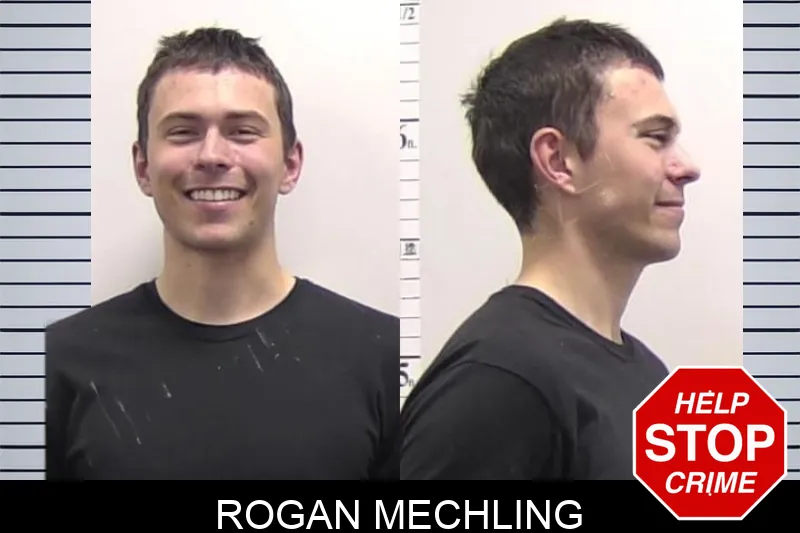Rogan Mechling