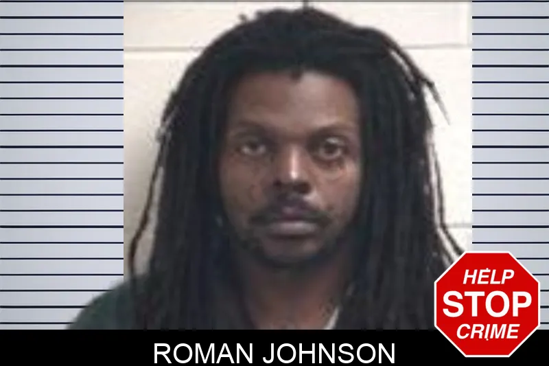 Roman Johnson Mugshots
