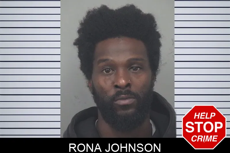 Rona Johnson mugshot – Gwinnett County , Georgia Rona Johnson mugshot