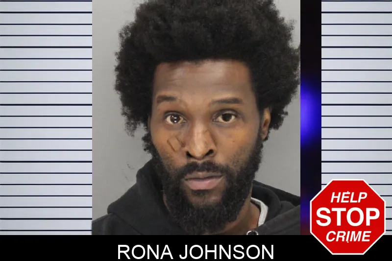 Rona Johnson mugshot – Cobb County , Georgia Rona Johnson mugshot