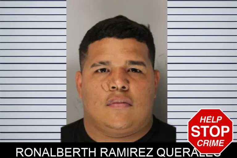 Ronalberth Ramirez Querales