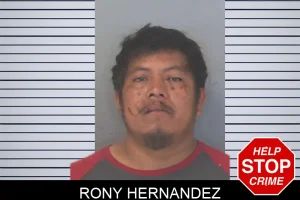 Rony Hernandez mugshot