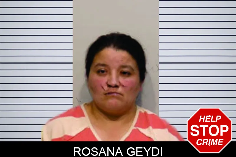 Rosana Geydi Mugshots