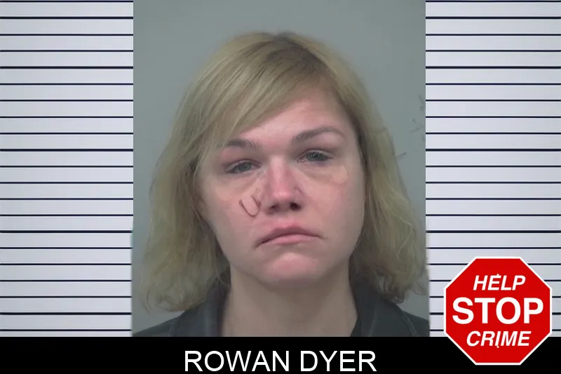 Rowan Dyer mugshot – Gwinnett County , Georgia Rowan Dyer mugshot