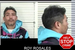 Roy Rosales mugshot