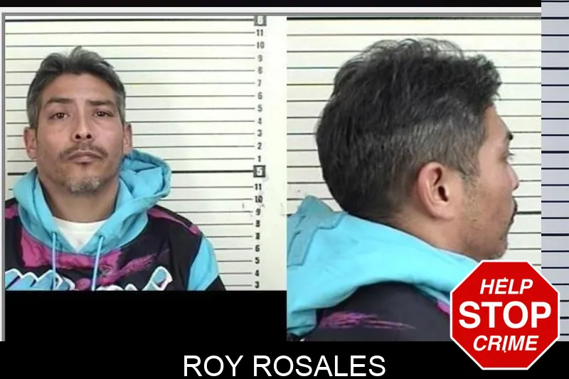 Roy Rosales
