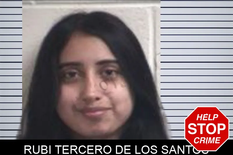 Rubi Tercero De Los Santos mugshot – Henry County , Georgia Rubi Tercero De Los Santos mugshot