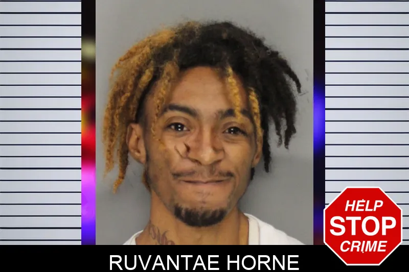 Ruvantae Horne mugshot – Cobb County , Georgia Ruvantae Horne mugshot