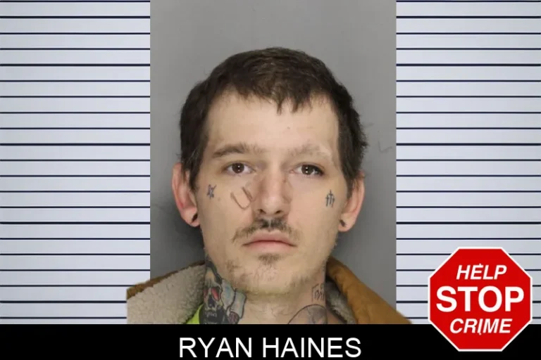 Ryan Haines mugshot – Cobb County , Georgia Ryan Haines
