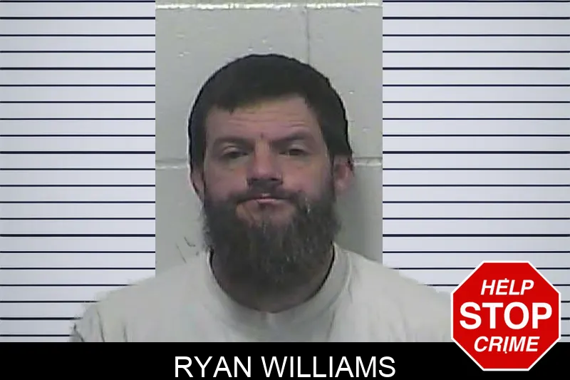 Ryan Williams Mugshots