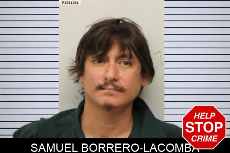 Samuel Borrero-Lacomba