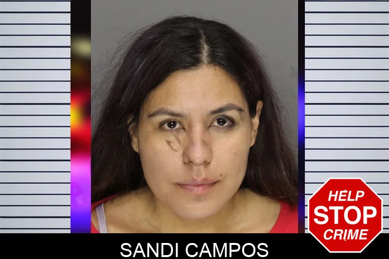 Sandi Campos mugshot