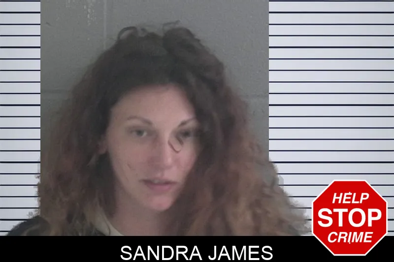 Sandra James