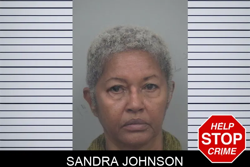 Sandra Johnson mugshot