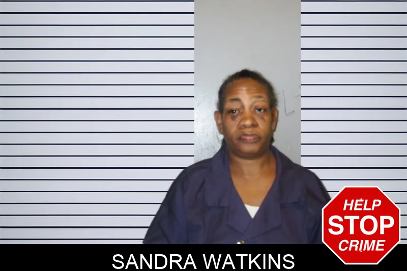 Sandra Watkins mugshot – Fulton County , Georgia Sandra Watkins mugshot