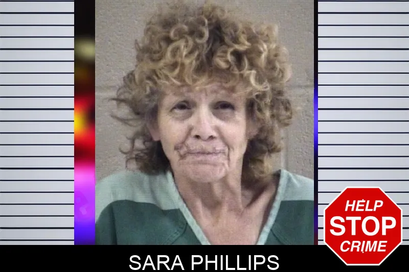 Sara Phillips Mugshots
